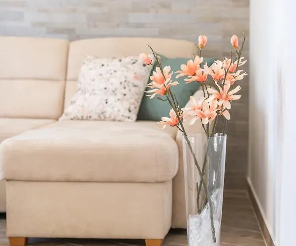 公寓 Elena 2 察夫塔特