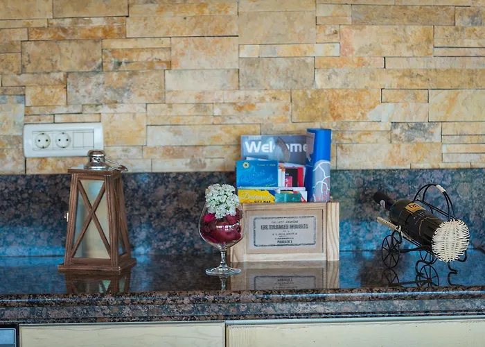 Apartament Elena 2 *